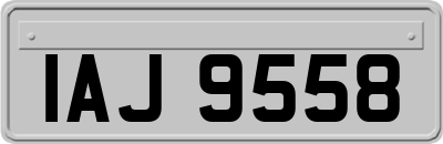 IAJ9558