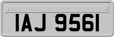 IAJ9561