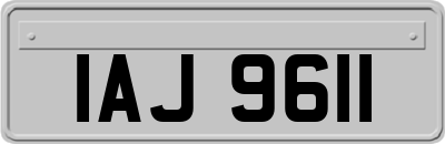 IAJ9611
