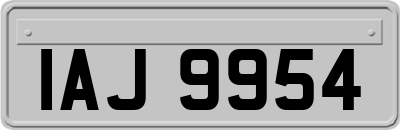 IAJ9954