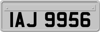 IAJ9956