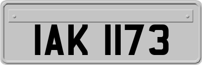 IAK1173