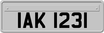 IAK1231