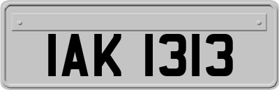 IAK1313