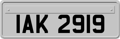IAK2919