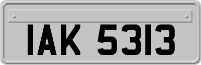 IAK5313