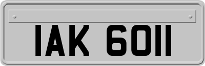 IAK6011