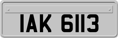 IAK6113