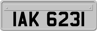 IAK6231