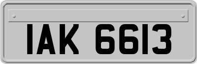 IAK6613