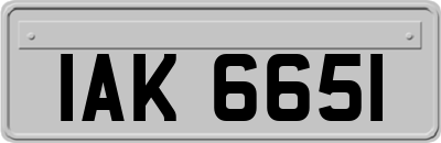 IAK6651