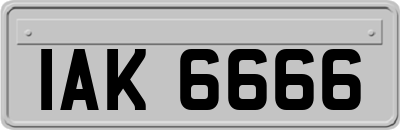 IAK6666