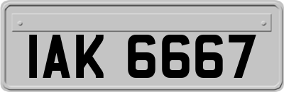 IAK6667
