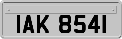 IAK8541