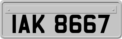 IAK8667