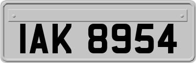 IAK8954