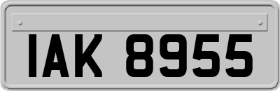 IAK8955