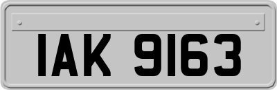 IAK9163
