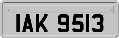 IAK9513