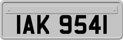 IAK9541