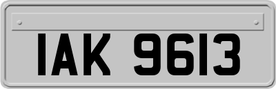 IAK9613