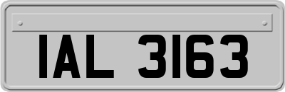 IAL3163