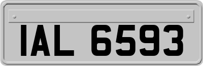 IAL6593
