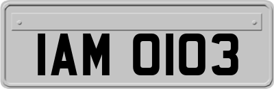 IAM0103