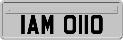 IAM0110