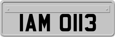 IAM0113
