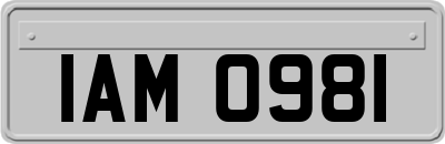 IAM0981
