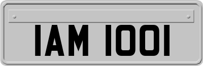 IAM1001