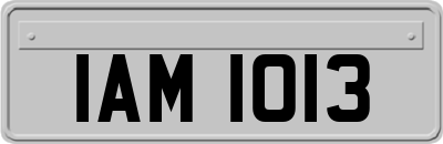 IAM1013