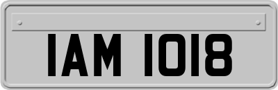 IAM1018