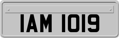 IAM1019