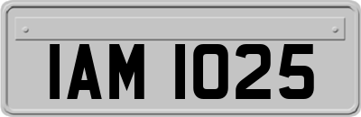 IAM1025