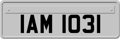 IAM1031