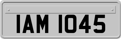 IAM1045