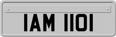 IAM1101