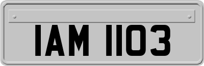 IAM1103