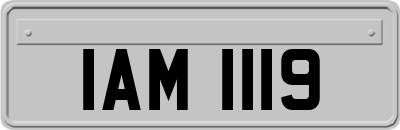 IAM1119