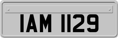 IAM1129
