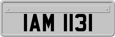 IAM1131
