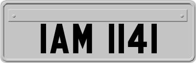 IAM1141