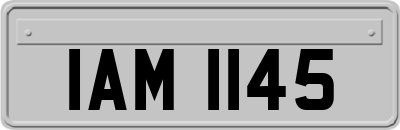 IAM1145