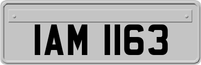 IAM1163