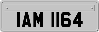 IAM1164