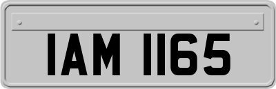 IAM1165
