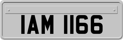 IAM1166