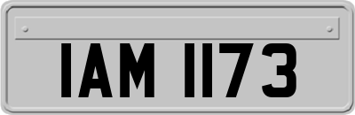 IAM1173